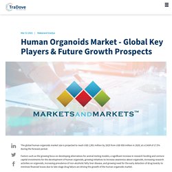 Human Organoids Market - Global Key Players Future Growth Prospects