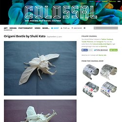 Origami Beetle by Shuki Kato