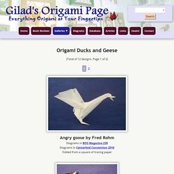 Origami Ducks and Geese 1