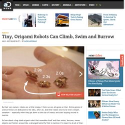 Tiny, Origami Robots Can Climb, Swim and Burrow