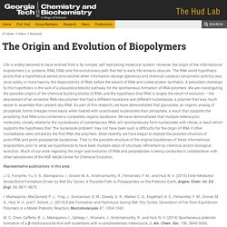 The Origin and Evolution of Biopolymers