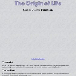 Origin of Life - God's Utility Function