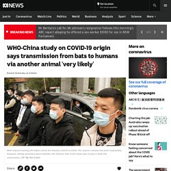 WHO-China study on COVID-19 origin says transmission from bats to humans via another animal 'very likely'