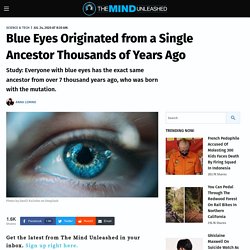 Blue Eyes Originated from a Single Ancestor Thousands of Years Ago