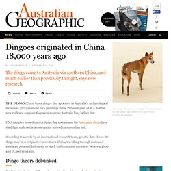 The dingo is originally from southern China