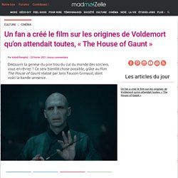 Un fan a créé le film sur les origines de Voldemort qu'on attendait toutes, « The House of Gaunt »