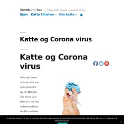 Katte og Corona virus - Ormekur til kat fortæller om virussen.