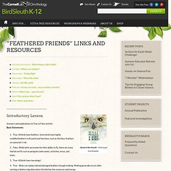 “Feathered Friends” Links and Resources : Cornell Lab of Ornithology: BirdSleuth K-12