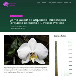 Como Cuidar de Orquídeas Phalaenopsis (orquídea borboleta): 10 Passos