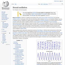 Neural oscillation