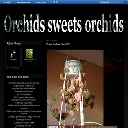 Osez le macramé!!! - Orchids sweet Orchids