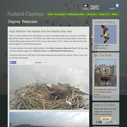Osprey Webcam