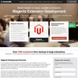 Custom Magento Ecommerce Store Development