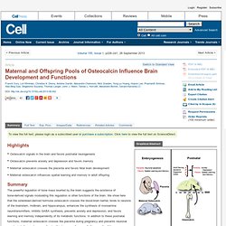 Maternal and Offspring Pools of Osteocalcin Influence Brain Development and Functions