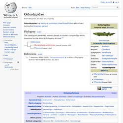Osteolepidae