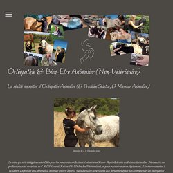 La réalité du métier - Ostéopathie & Shiatsu Animalier, Laurie Picaronny