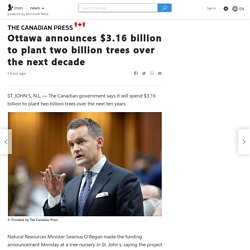 Ottawa announces $3.16 billion to plant two billion trees over the next decade