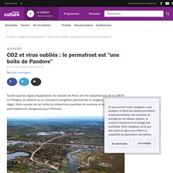 CO2 et virus oubliés : le permafrost est "une boîte de Pandore"