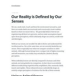 Our Reality is Defined by Our Senses