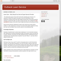 Outback Lawn Service: Lawn Care – Why Should You Hire An Expert Service Provider