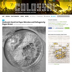 Outbreak: Hand Cut Paper Microbes and Pathogens by Rogan Brown
