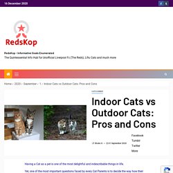 Indoor Cats vs Outdoor Cats: Pros and Cons