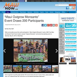 "Maui Outgrow Monsanto" Event Draws 200 Participants
