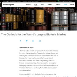 The Outlook for the World’s Largest Biofuels Market