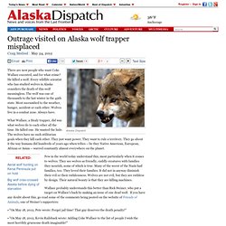 Outrage Visited on Alaska Wolf Trapper Misplaced
