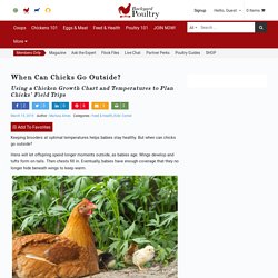 When Can Chicks Go Outside? - Backyard Poultry