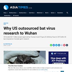 Why US outsourced bat virus research to Wuhan - Asia Times