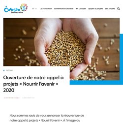 Ouverture de notre appel à projets « Nourrir l’avenir » 2020 - Fondation Daniel et Nina Carasso