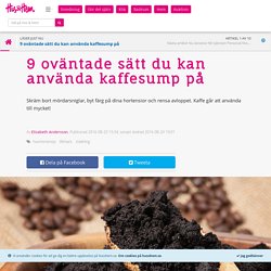 9 oväntade sätt du kan använda kaffesump på – Hus & Hem