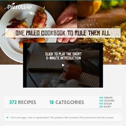 Over 370 easy Paleo recipes