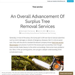 An Overall Advancement Of Surplus Tree Removal Services