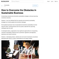 How to Overcome the Obstacles in Sustainable Business