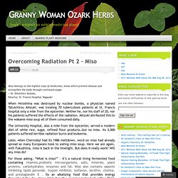 Overcoming Radiation Pt 2 – Miso « Granny Woman Ozark Herbs