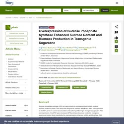 PLANTS 06/02/20 Overexpression of Sucrose Phosphate Synthase Enhanced Sucrose Content and Biomass Production in Transgenic Sugarcane