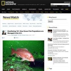 Overfishing 101: How Ocean Fish Populations are Managed in the U.S. – National Geographic News Watch