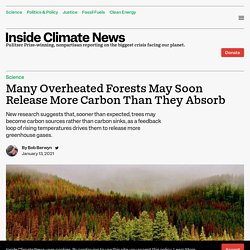 Many Overheated Forests May Soon Release More Carbon Than They Absorb - Inside Climate News