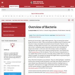 Overview of Bacteria - Infections - MSD Manual Consumer Version