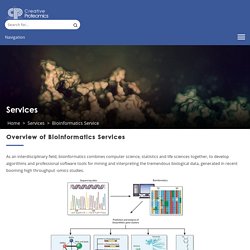 Overview of Bioinformatics Services