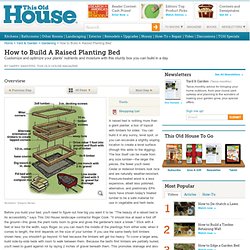 How to Build A Raised Planting Bed