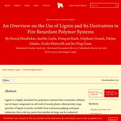 An Overview on the Use of Lignin and Its Derivatives in Fire Retardant Polymer Systems