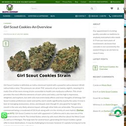 Girl Scout Cookies-An Overview - Holistic dispensary