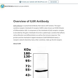 Overview of IL6R Antibody – Boster Bio