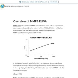 Overview of MMP9 ELISA – Boster Bio