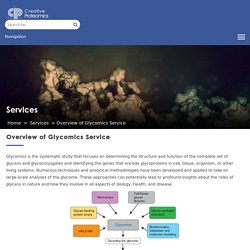 Overview of Glycomics Service