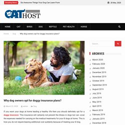 Why dog owners opt for doggy insurance plans? -