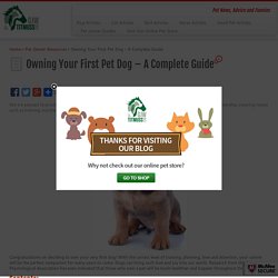 Owning Your First Pet Dog – A Complete Guide